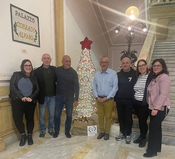 A Palazzo Alvaro un albero di Natale dell’associazione Amici di Fatima