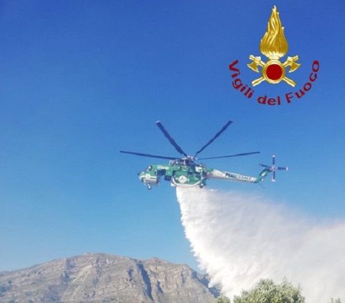 Città Metropolitana, altra vittima degli incendi