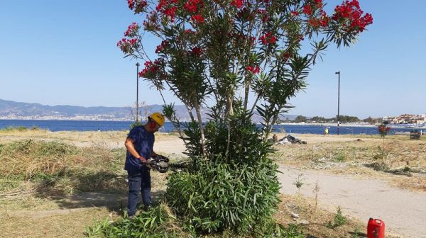 Comune di Reggio Calabria, manutenzione decoro pubblico