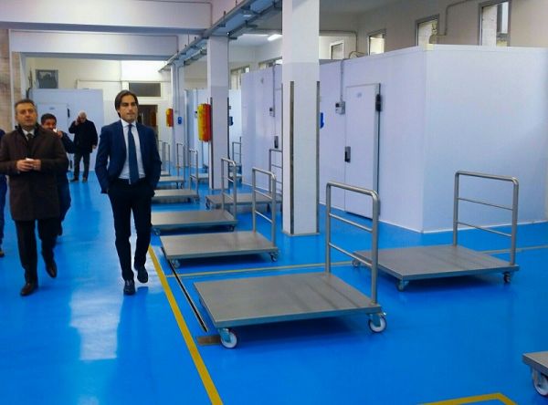 Comune di Reggio Calabria, ultimati i lavori del mercato ittico