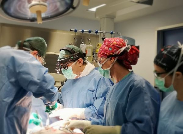 Grande Ospedale Metropolitano, il Centro Cuore compie 5 anni