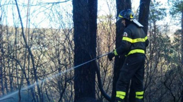 Vigili del Fuoco Calabria, niente convenzione per gli incendi boschivi