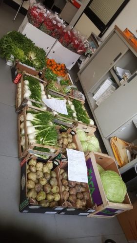 Comune di Reggio Calabria, controlli della Polizia Municipale