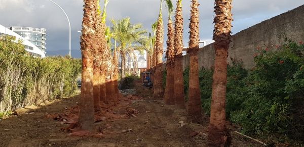 Comune di Reggio Calabria, lavori di riqualificazione bretelle Calopinace