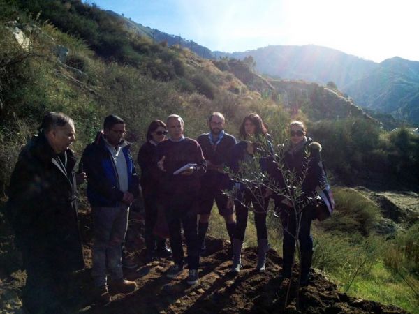 Legambiente Reggio Calabria, piantati i primi 15 alberi
