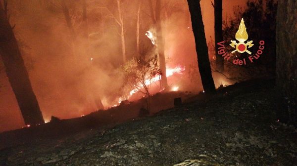 Vigili del Fuoco Catanzaro, incendi in città