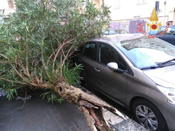 Vigili del Fuoco Catanzaro, interventi per il maltempo difficoltose per pioggia